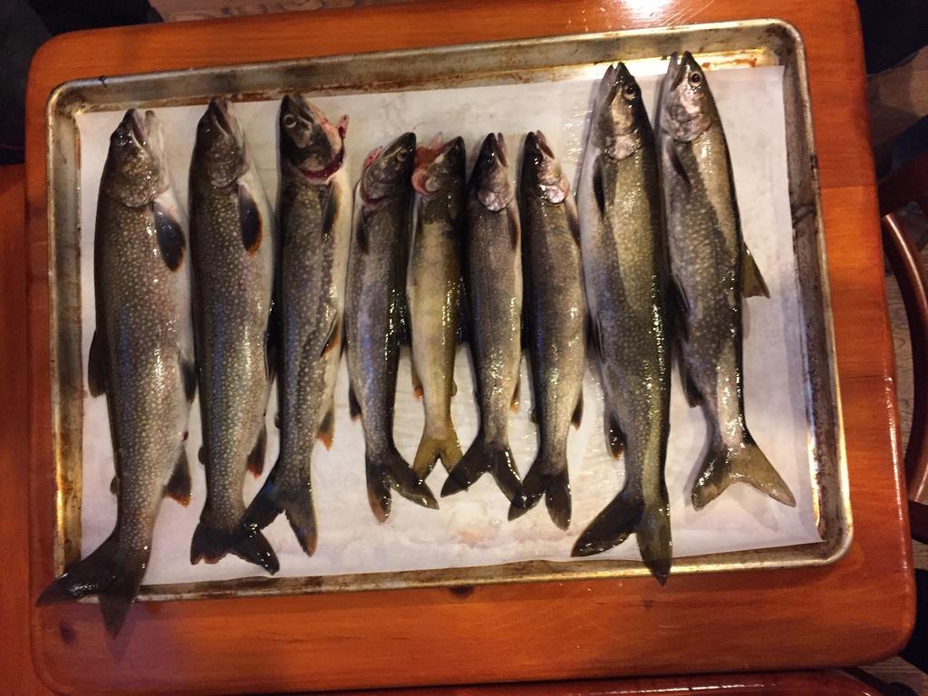 Little Hawk Resort & Marina Algonquin Highlands ภายนอก รูปภาพ