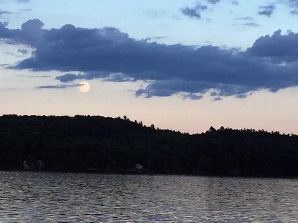 Little Hawk Resort & Marina Algonquin Highlands ภายนอก รูปภาพ
